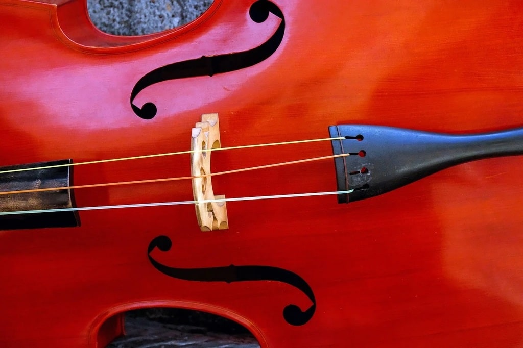 Avantages des housses rembourrées pour violons
